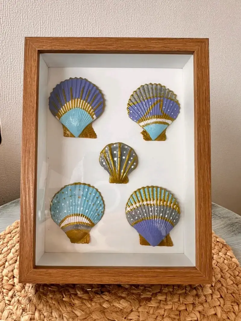 🌊Cuadro decorativo  conchas marinas - 5
