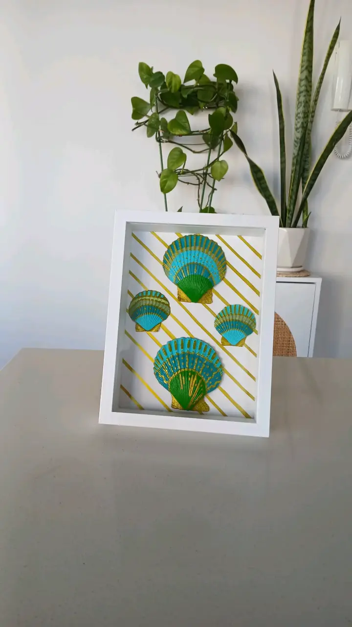 🌊Cuadros decorativos conchas marinas enmarcadas - 3