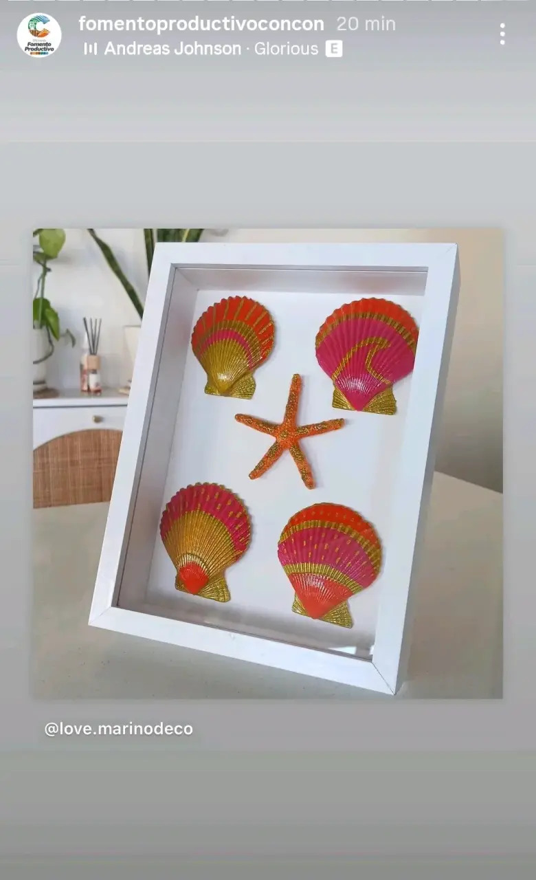 🌊Cuadros decorativos conchas marinas enmarcadas - 4