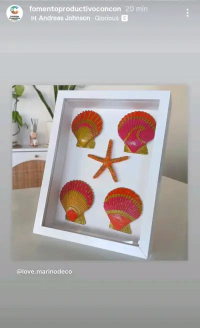 🌊Cuadros decorativos conchas marinas enmarcadas - miniatura 4
