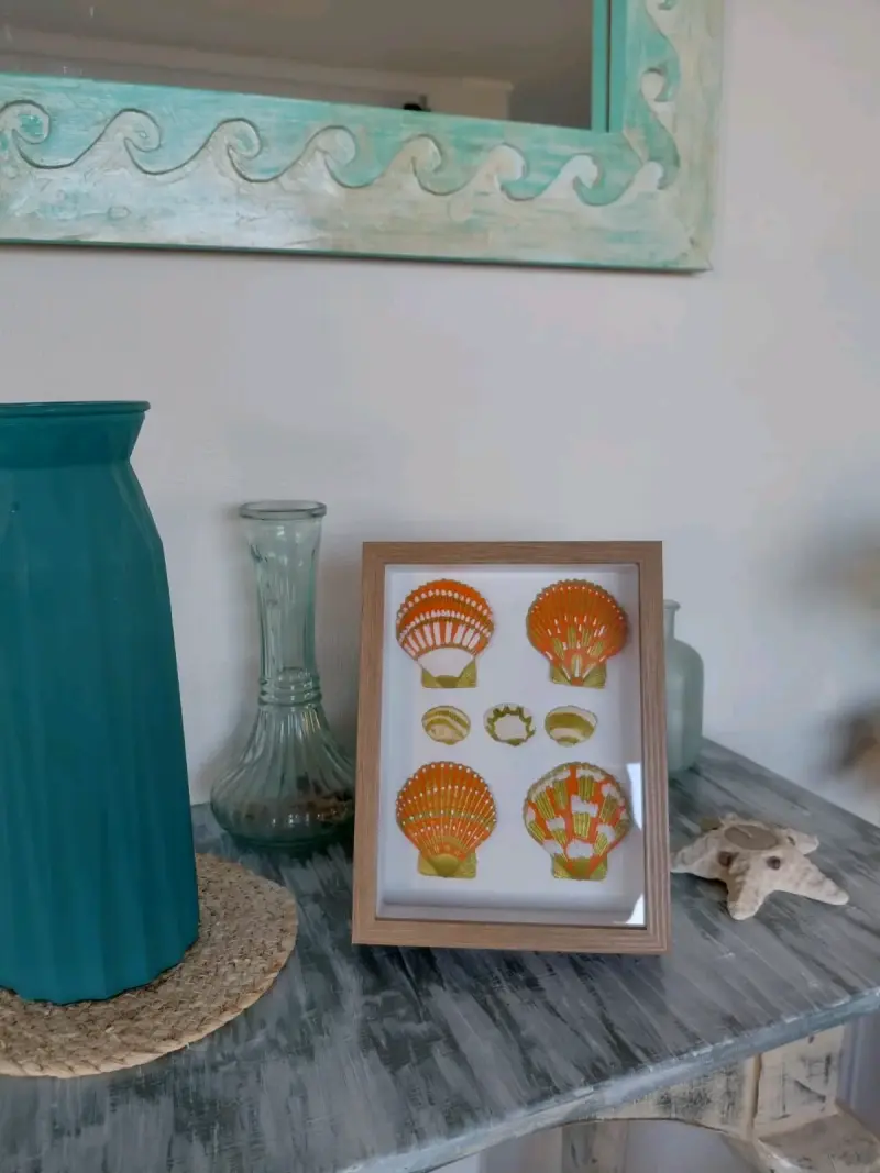 🌊Cuadros decorativos conchas marinas enmarcadas - 5
