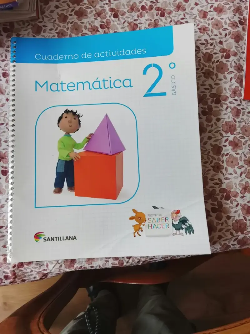 Cuaderno de Actividades Matemática 2° Básico Santillana