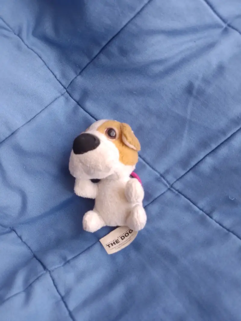 Llavero peluche perro The Dog