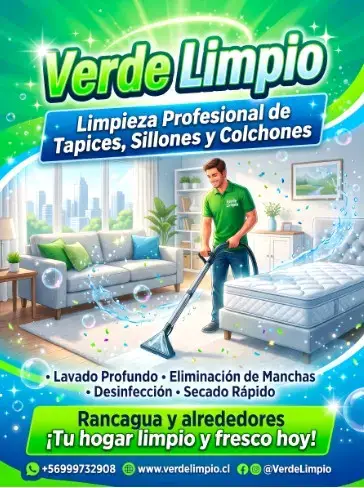 Servicio de limpieza profesional de tapices y colchones - miniatura 1