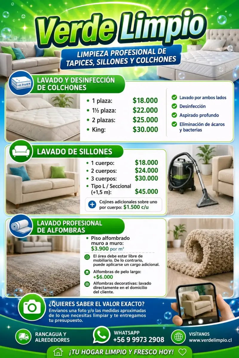 Servicio de limpieza profesional de tapices y colchones - 2
