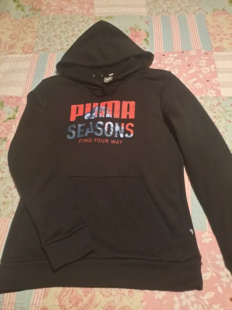 Polerón con capucha Puma Seasons negro - 2