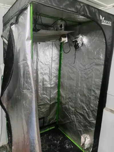 Carpa de Cultivo iCropBox con Reflector Interior - miniatura 3