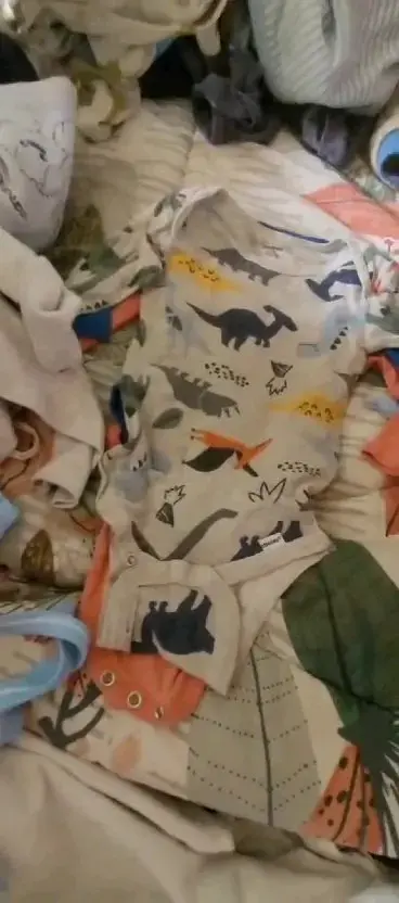 Lote de bodies de bebé variados - 2