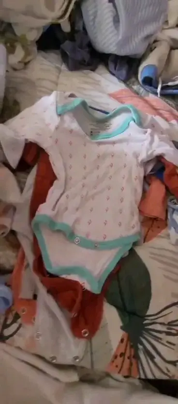 Lote de bodies de bebé variados