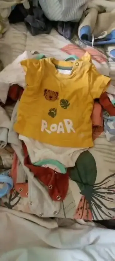 Lote de bodies de bebé variados - 2
