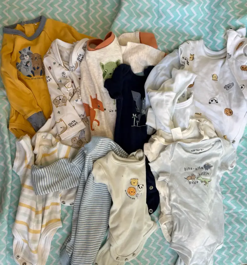 Lote de bodies de bebé con estampados de dinosaurios - 4