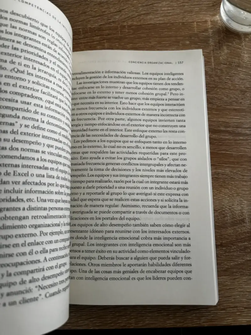Las 12 competencias de la inteligencia emocional - 2