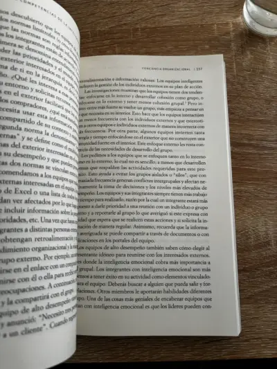 Las 12 competencias de la inteligencia emocional - miniatura 2