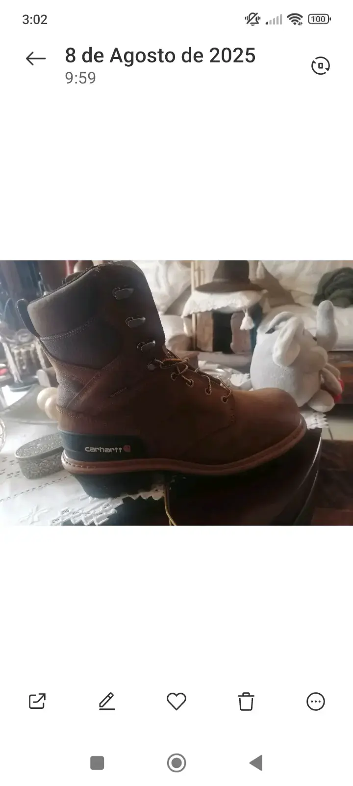 Botas de trabajo Carhartt marrones