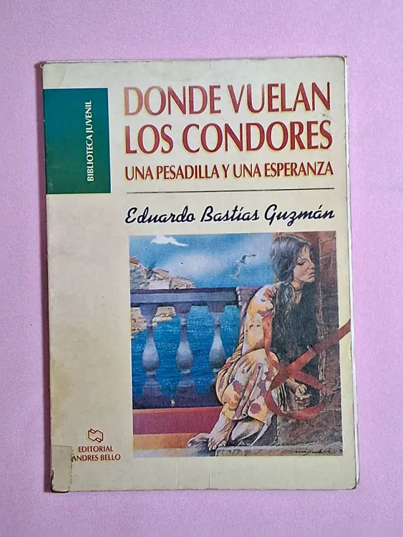 Libro 'Donde Vuelan Los Cóndores' de Eduardo Bastías Guzmán