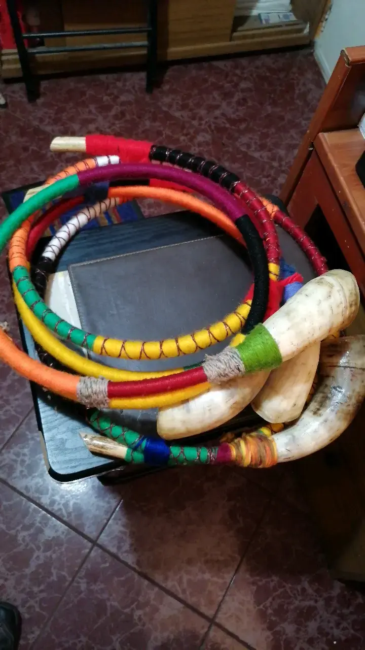 Trutrukas r - 2