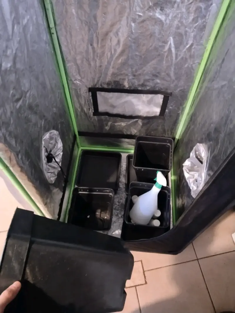 Kit de cultivo interior Cropbox con accesorios - 4