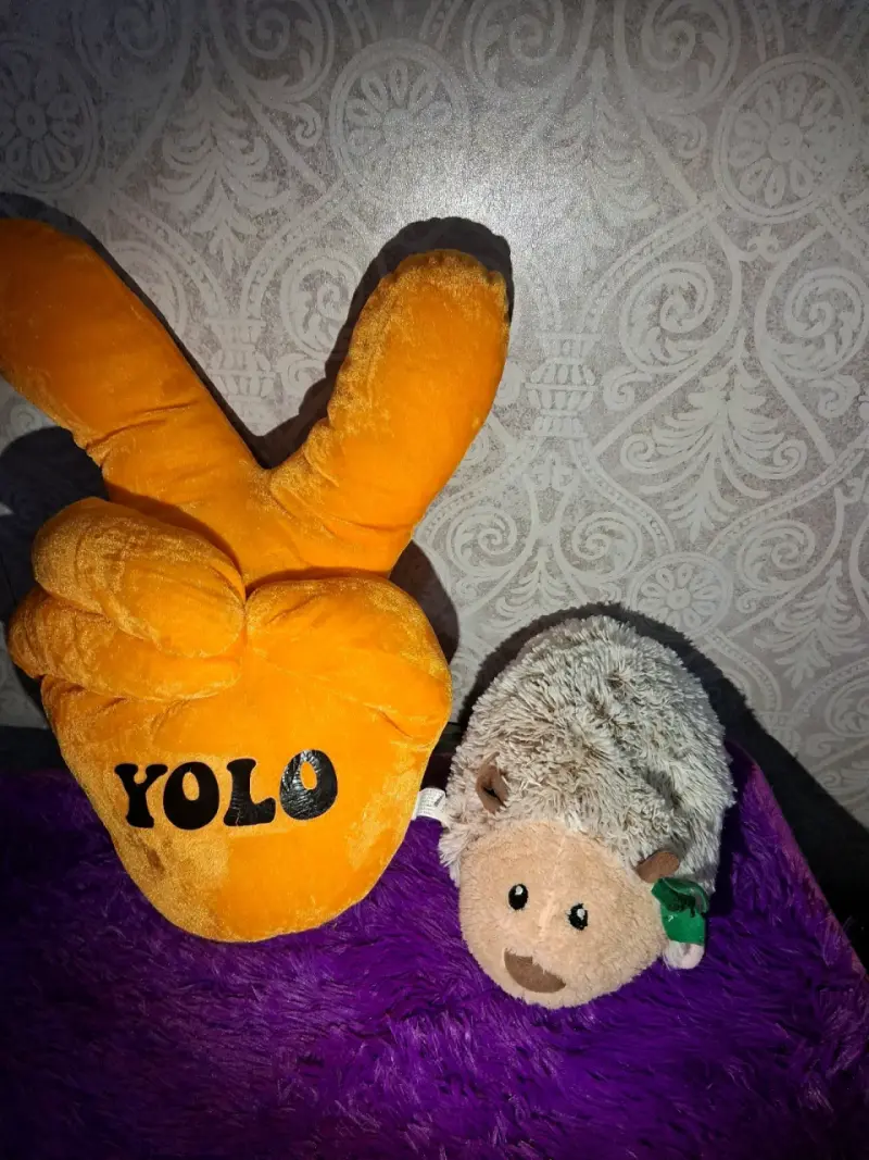 Cojín decorativo YOLO y peluche de erizo