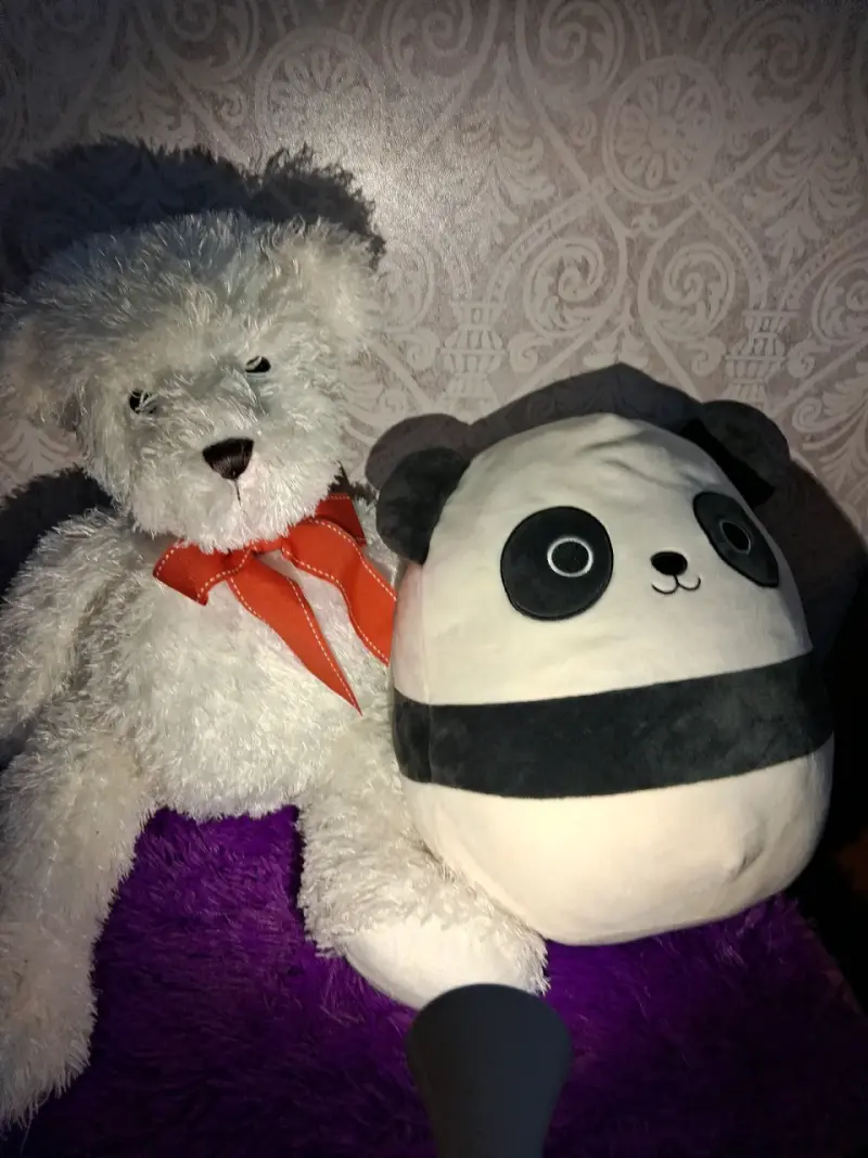 Peluche de Oso y Panda Suave y Tierno
