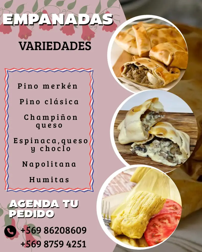 Empanadas variadas caseras para delivery