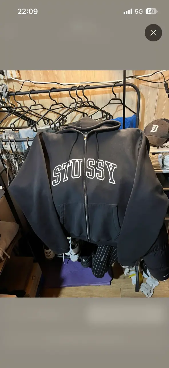 Hoodie Zip Stussy