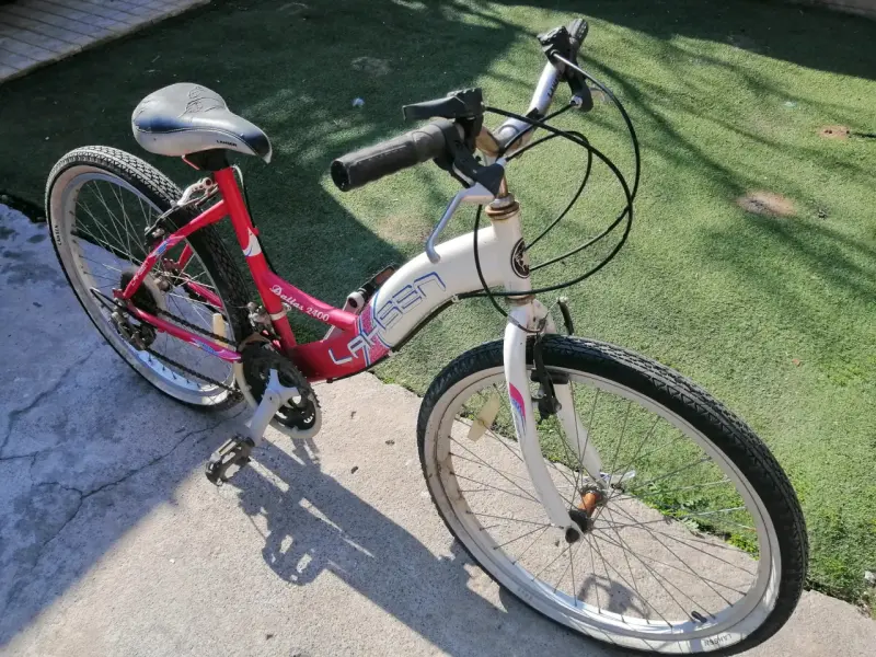 Bicicleta Larsen Bella 2000 para Niñas