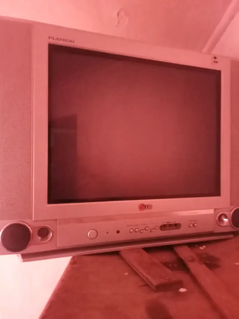 Televisor LG Flatron con parlantes integrados - 2