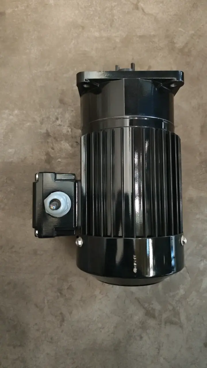 Motoreductor eléctrico Liming SV-A10 220V - 2