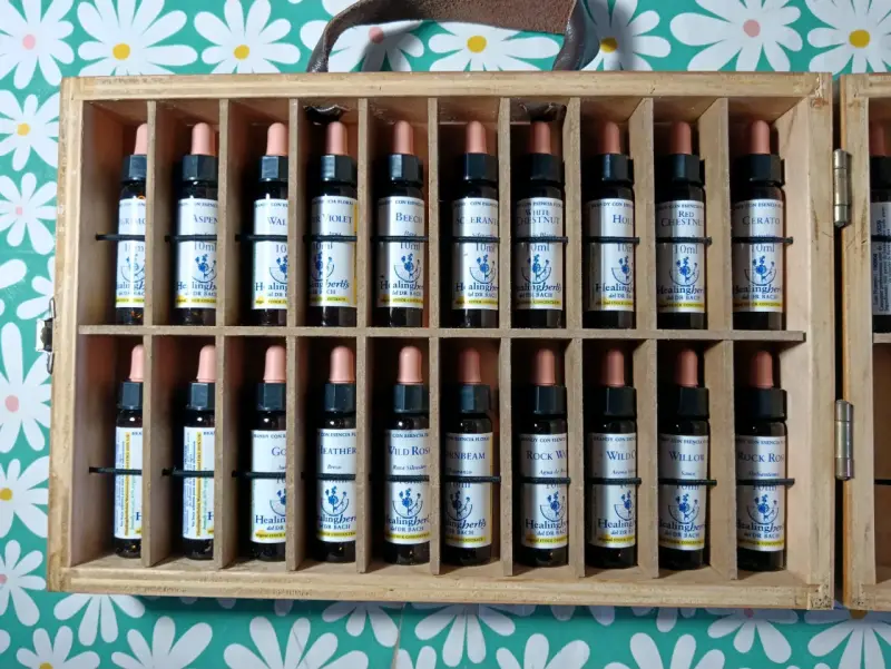 Set de Esencias Florales de Bach Healing Herbs - 1