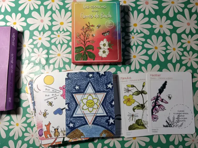 Set de Esencias Florales de Bach Healing Herbs - 6