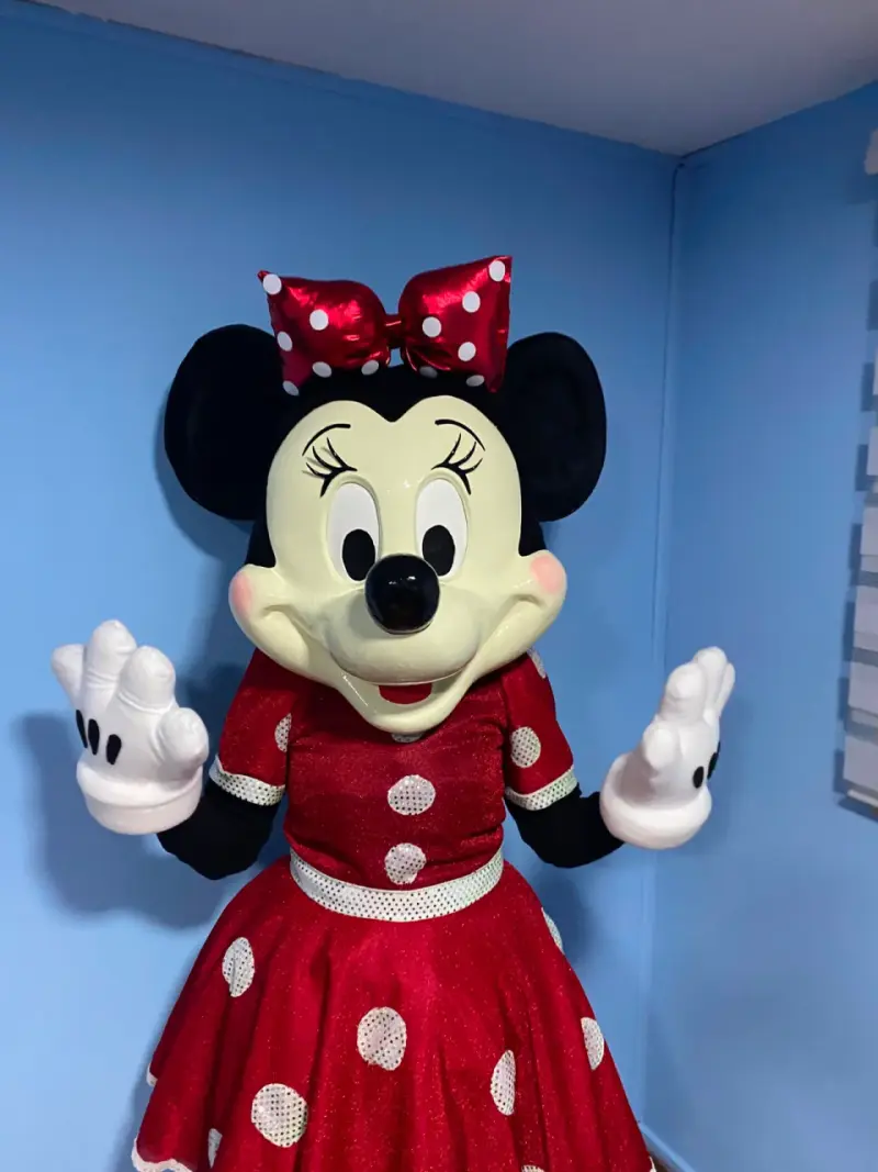Disfraces de Mickey y Minnie Mouse para eventos - 4