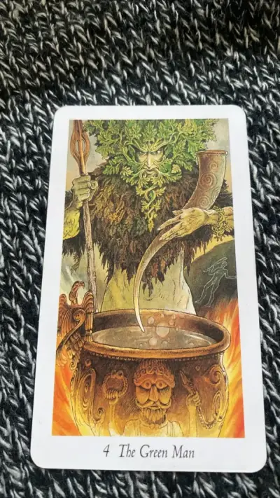 Baraja de Tarot Wild Wood con ilustraciones - miniatura 4