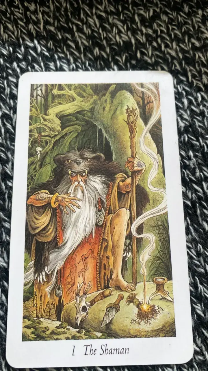 Baraja de Tarot Wild Wood con ilustraciones - 5