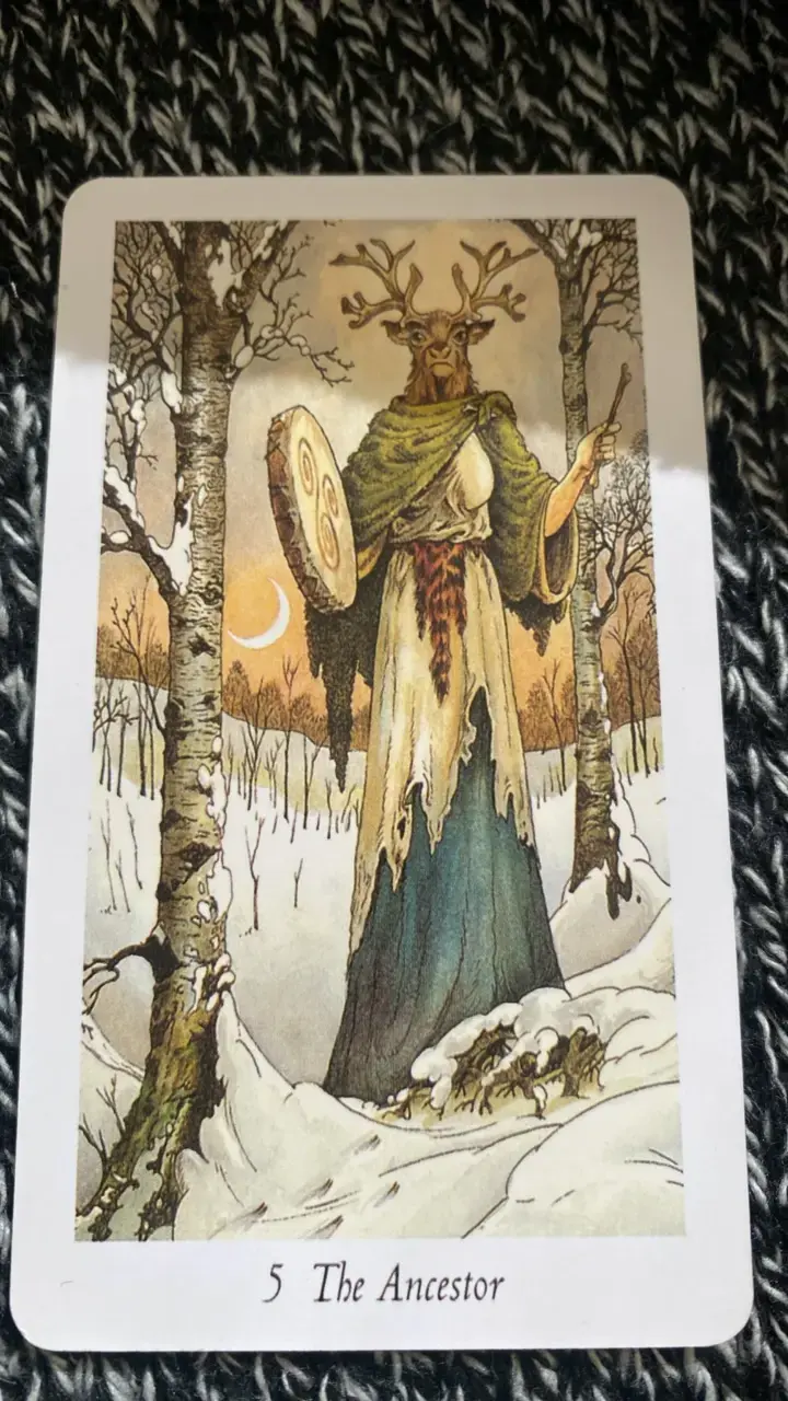 Baraja de Tarot Wild Wood con ilustraciones - 6