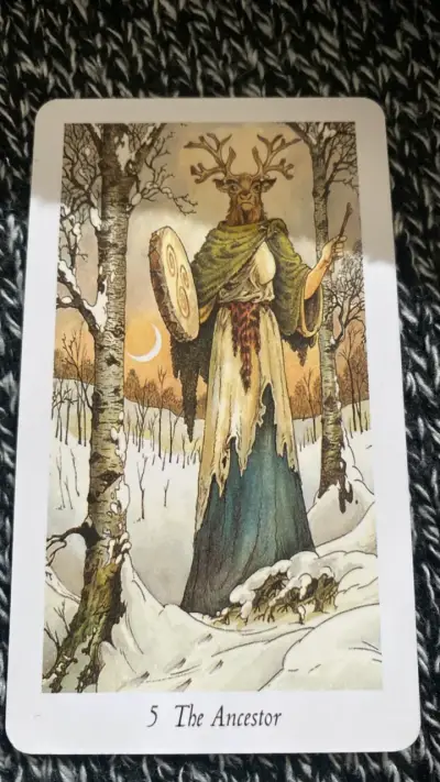 Baraja de Tarot Wild Wood con ilustraciones - miniatura 6