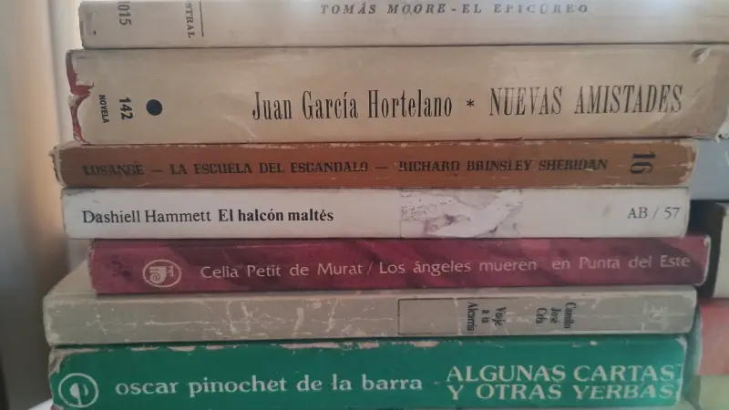 Lote de libros variados en español - 2