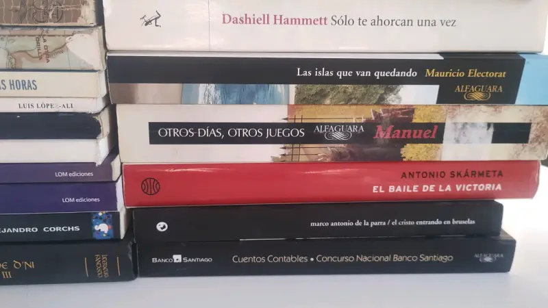 Lote de libros variados en español - 5