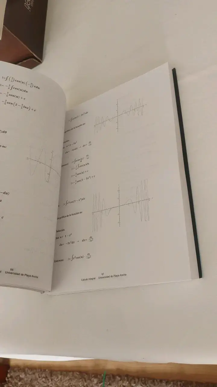 Libro Cálculo Integral Dr. Carlos Silva Córdova - 4