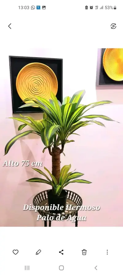 Planta artificial Palo de Agua 75 cm - miniatura 1