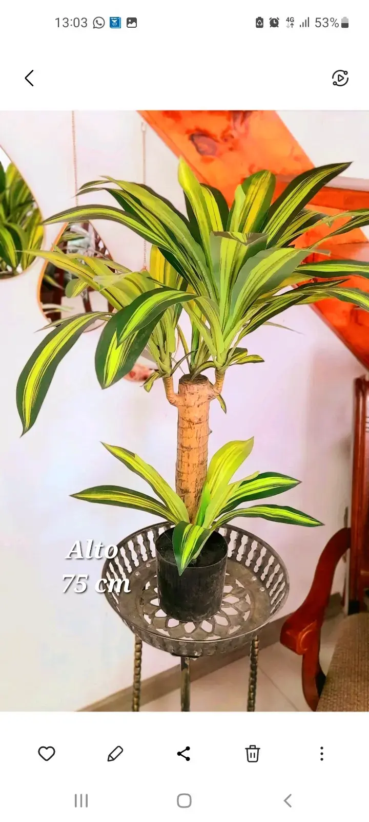Planta artificial Palo de Agua 75 cm - 2