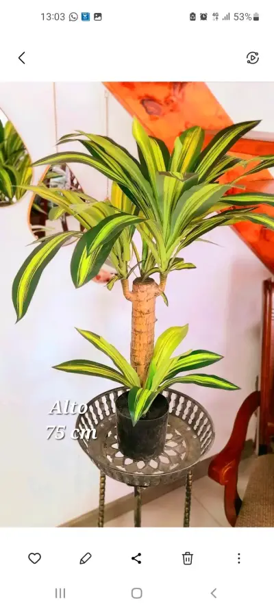 Planta artificial Palo de Agua 75 cm - miniatura 2