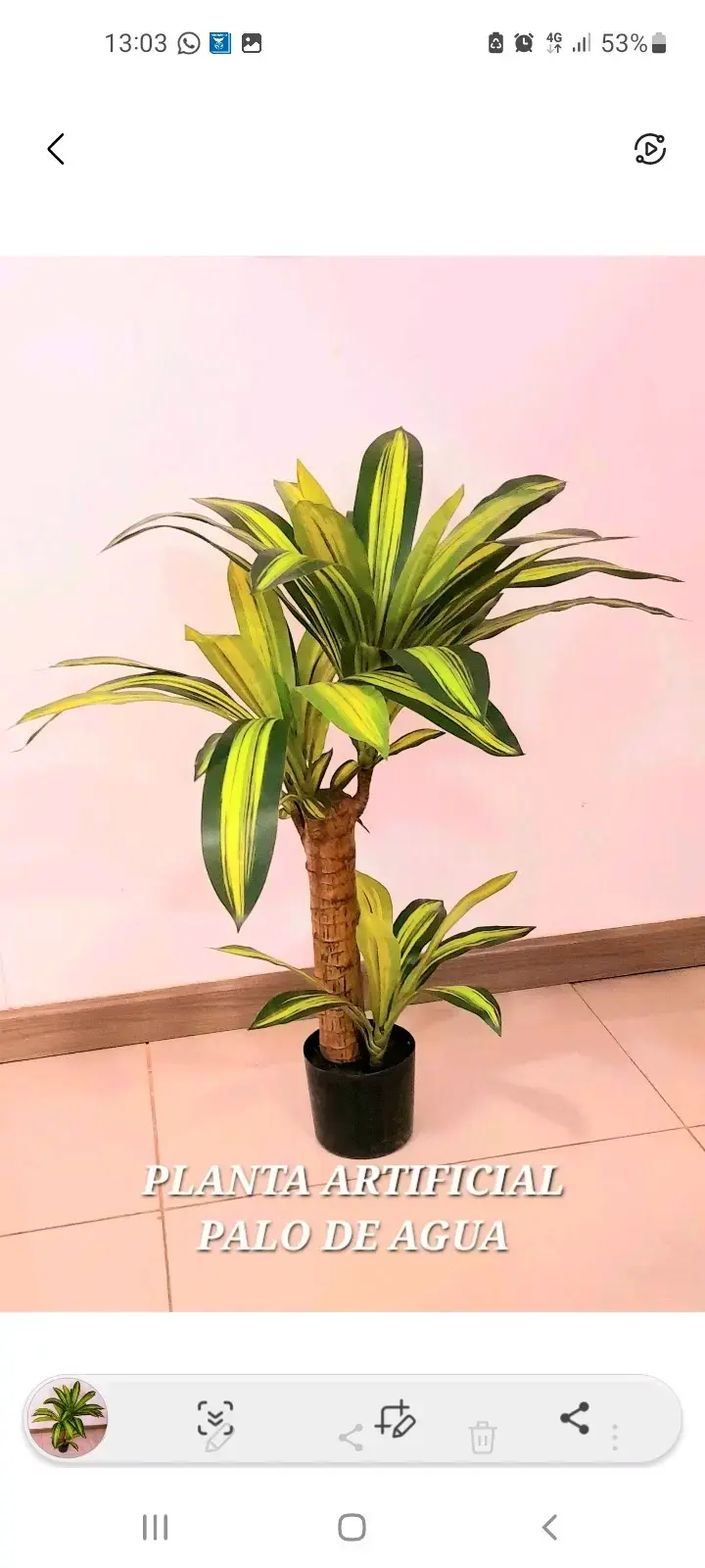 Planta artificial Palo de Agua 75 cm - 3