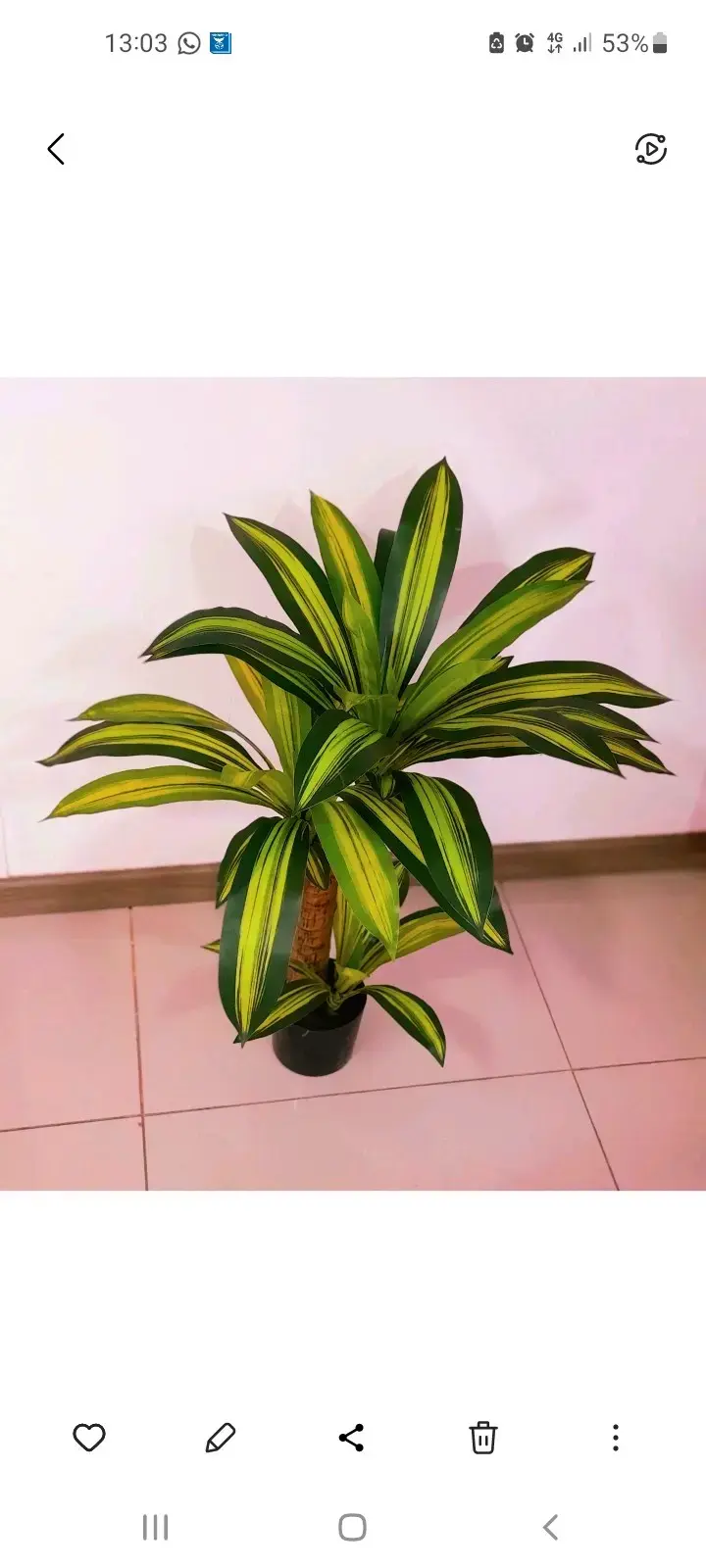 Planta artificial Palo de Agua 75 cm - 4