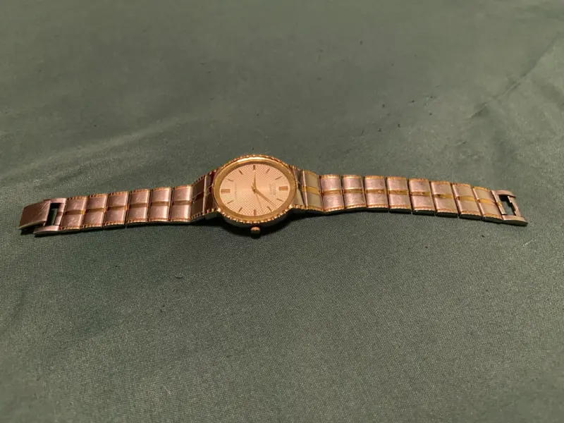 Reloj Citizen dorado y plateado para hombre - 4