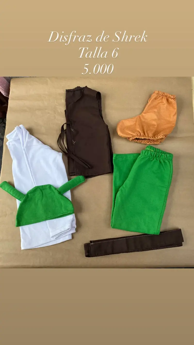Disfraz de Shrek para niño talla 6