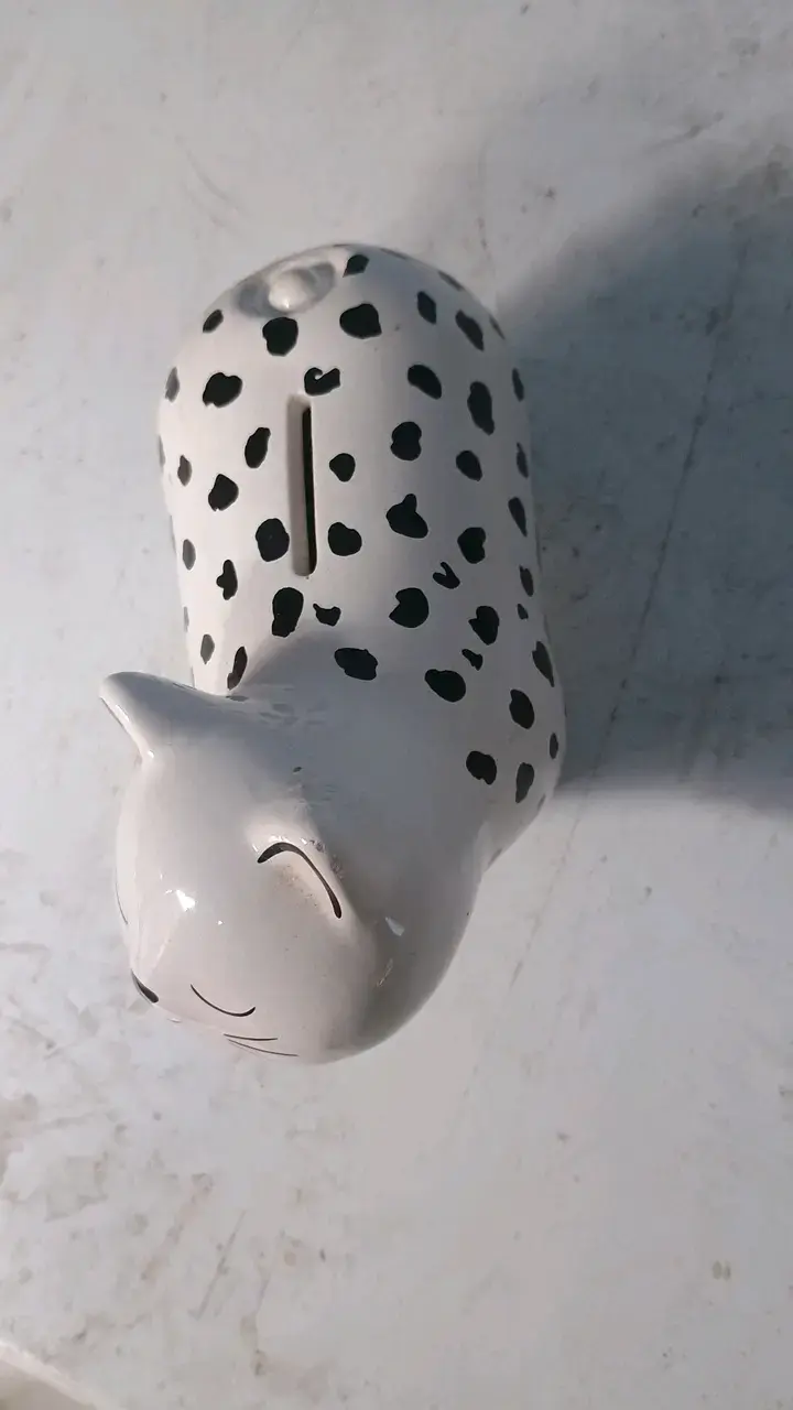 Alcancía de cerámica con diseño de gato - 2