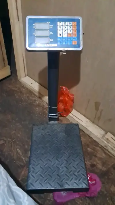Pesa - miniatura 1