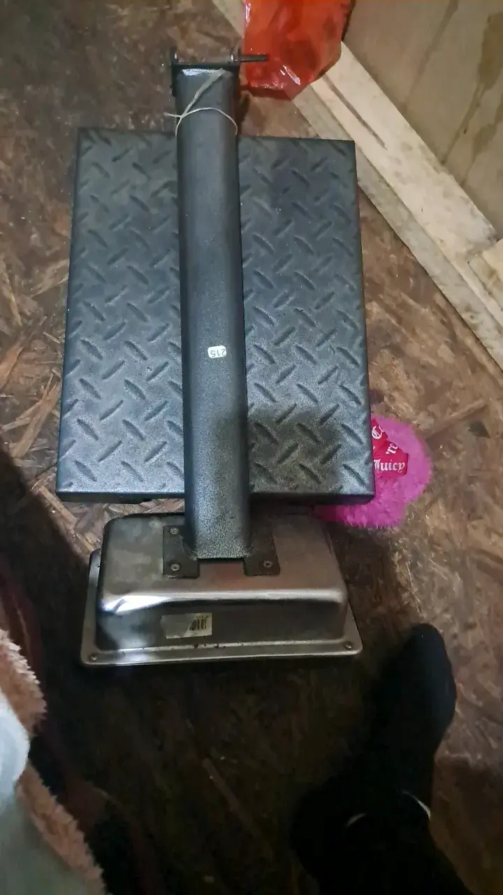 Pesa - 2