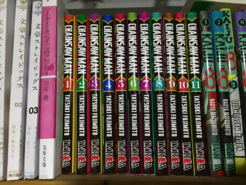 Colección de mangas Chainsaw Man 1-11 - 2