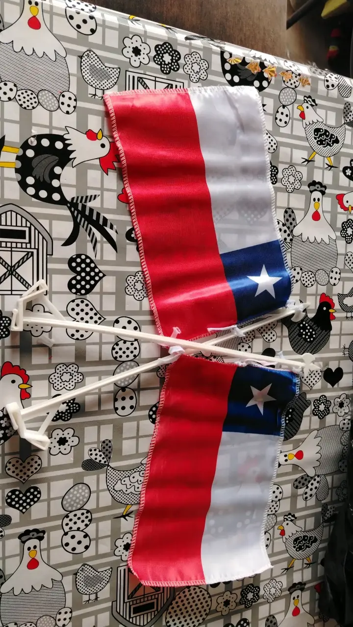 Banderas de Chile con soporte plástico